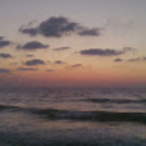 Meet your Posher, Ann